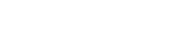 Mentor Company 
